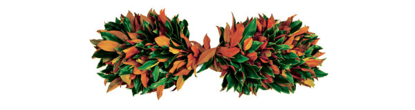 Fresh autumn wreath with vibrant orange and green leaves, perfect for seasonal decor.