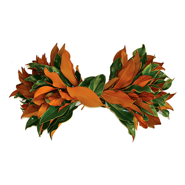 Weston Farms Magnolia 24" Bowtie