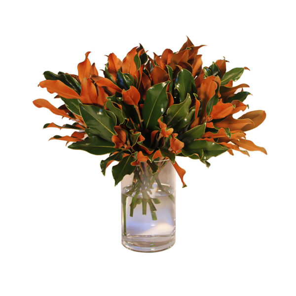 Weston Farms Magnolia 18" Hand-Tied Bouquet