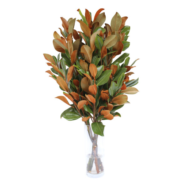 Brown Velvet 36" Bouquet
