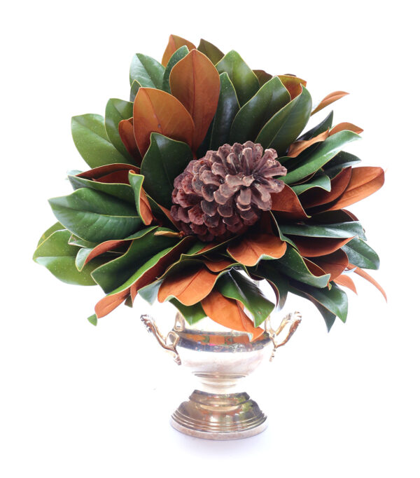 A lush magnolia plant with a pine cone in a silver decorative vase.