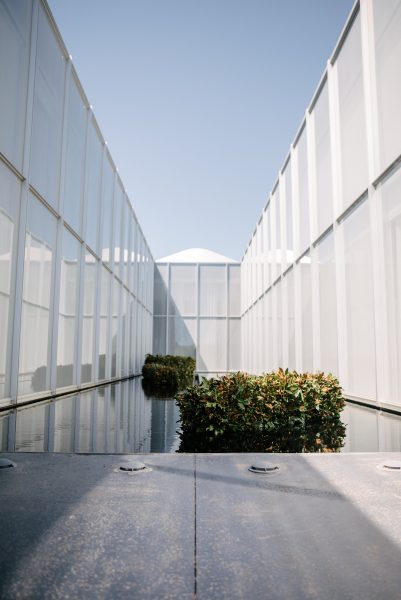 Weston Farms Art in Bloom