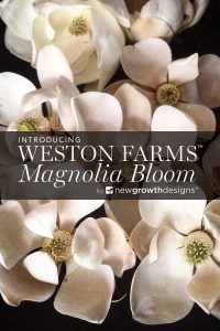 Elegant magnolia bloom flowers showcasing Weston Farms' floral collection for spring.