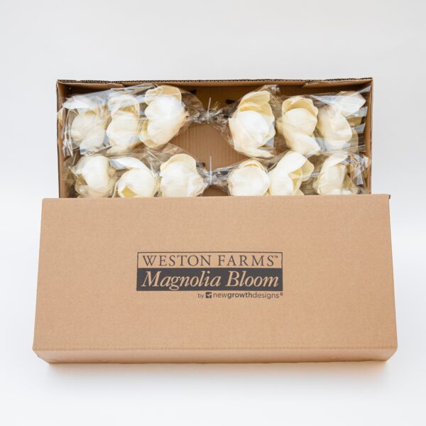 A Dozen Small Blooms