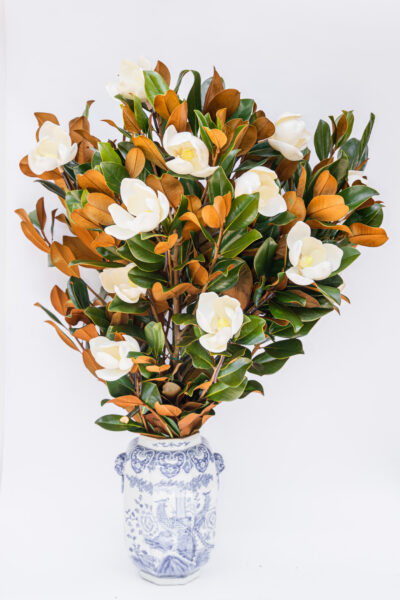 A Dozen Large Blooms