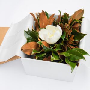 Small Bloom Box
