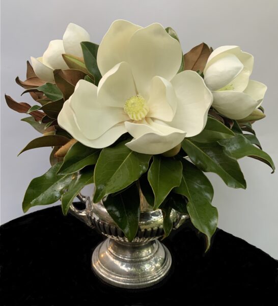 Triple Crown Magnolia Bloom Box
