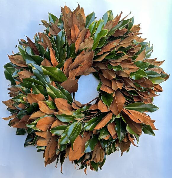 Weston Farms Magnolia 22" Wreath