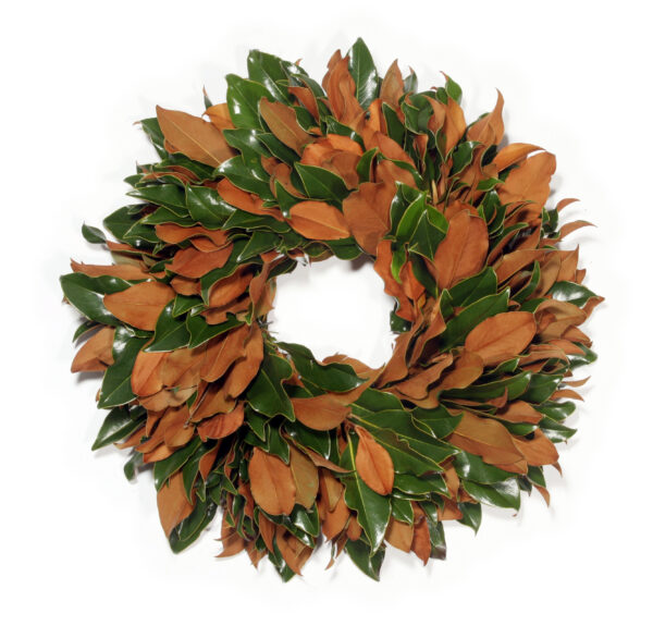 Weston Farms Magnolia 22" Wreath