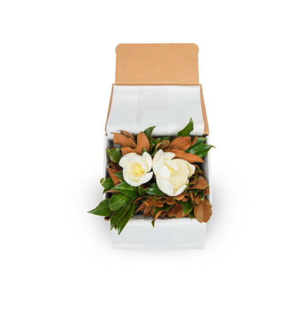 A lush floral arrangement with white and brown flowers in a white box.