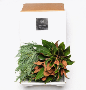 Weston Farms Boxwood Bluebird Set - Large