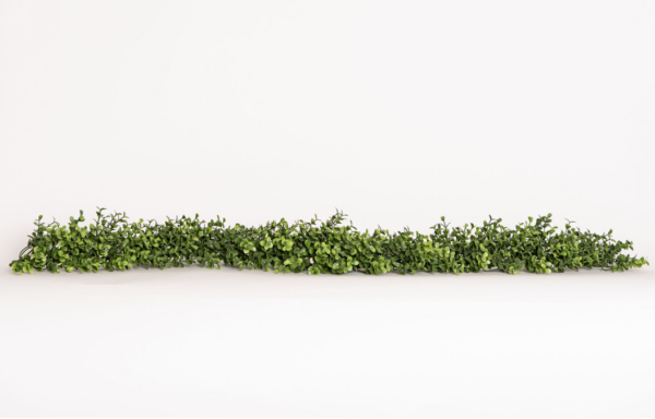 Weston Farms Boxwood Classic Set - Large