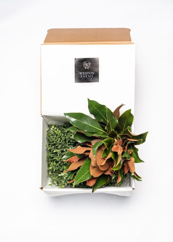 Fresh herb and plant assortment in Weston Farms packaging for culinary and decorative use.