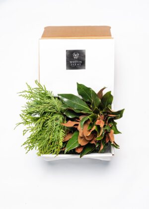 Weston Farms Boxwood Holiday Set - Large