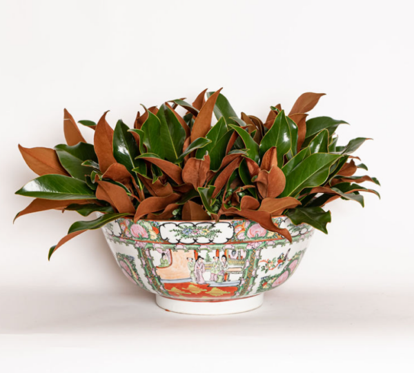 A lush potted plant with green and brown leaves in an ornate decorative bowl.