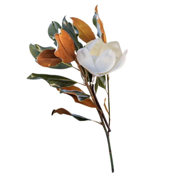 Blooming Branch with 5 inch Flower