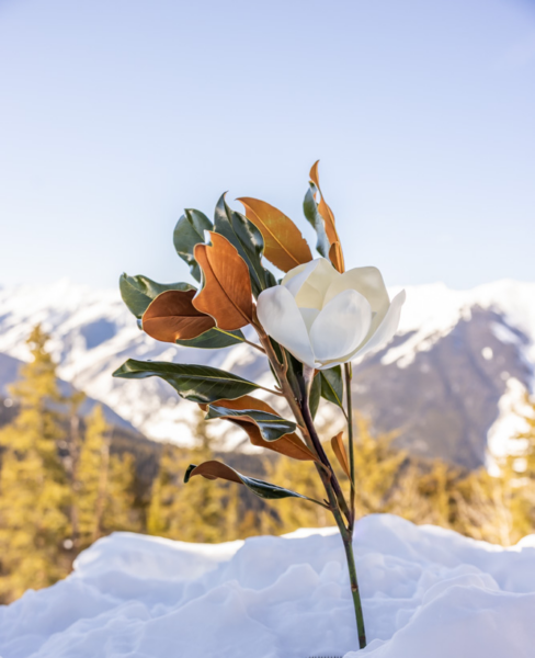 Blooming Branch with 5 inch Flower