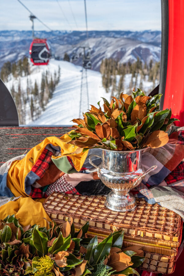 Elegant plant arrangement in a glass vase on a woven table, with a scenic snowy mountain view and sk.
