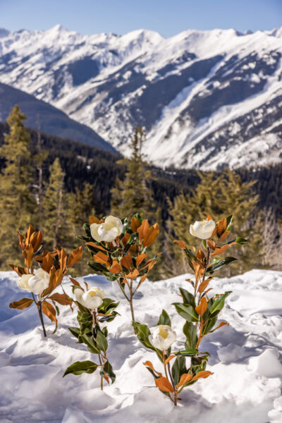 Blooming Branch with 5 inch Flower