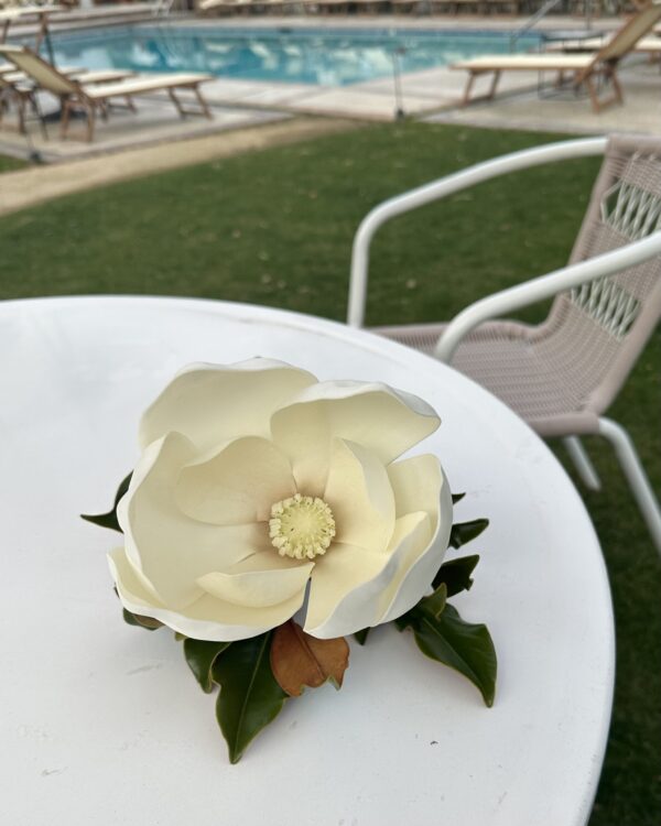 Magnolia flower on a white table near a swimming pool at Weston Farms.