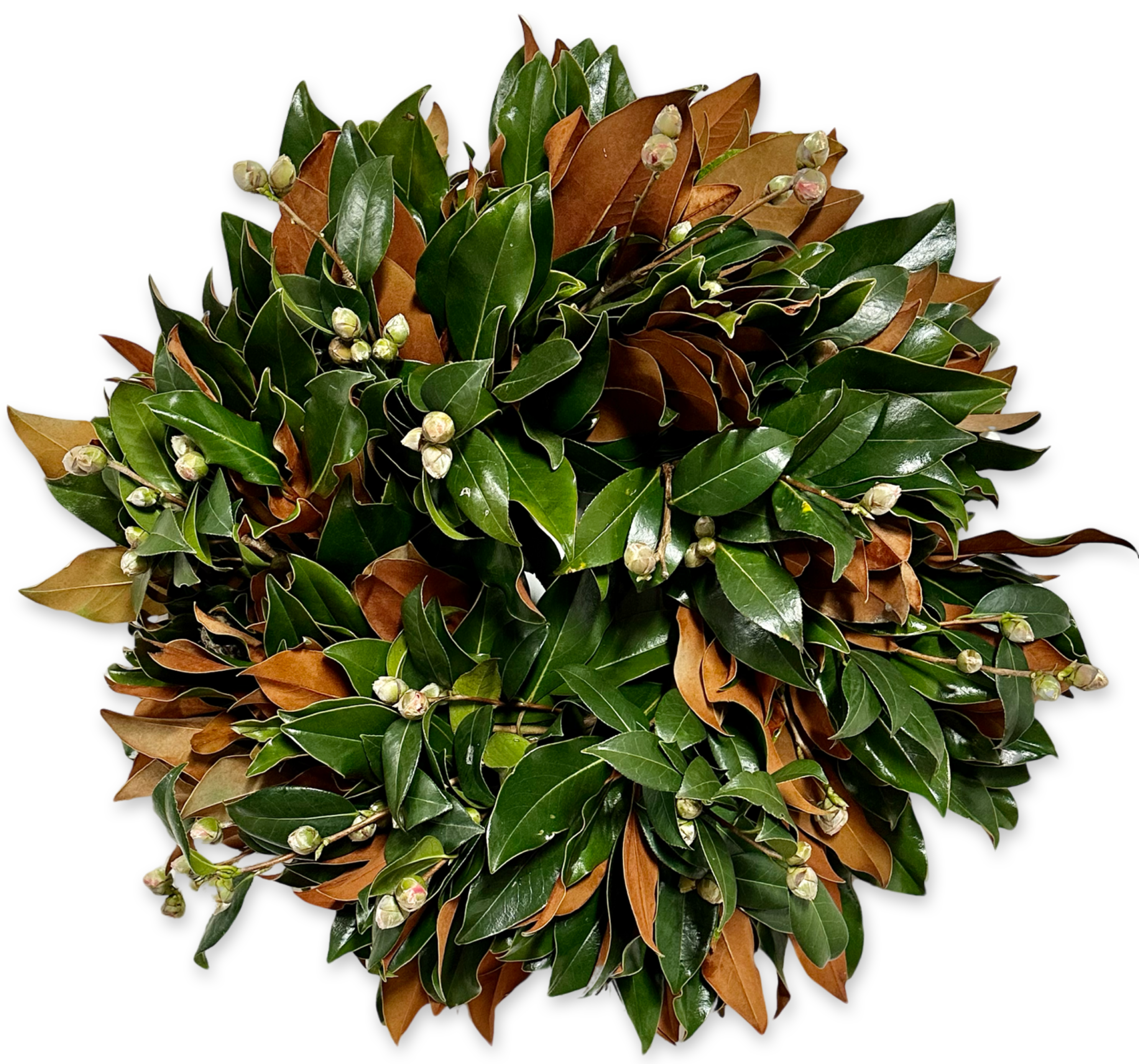Camellia Wreath