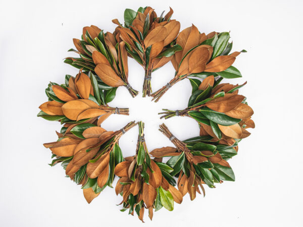 Brown Velvet Mini Bouquets