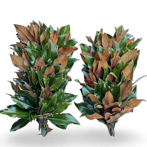 The Classic Table Runner (set of two)