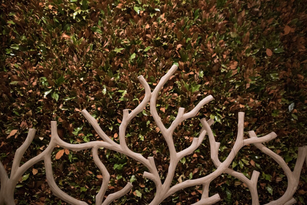 Currey & Co Magnolia Wall