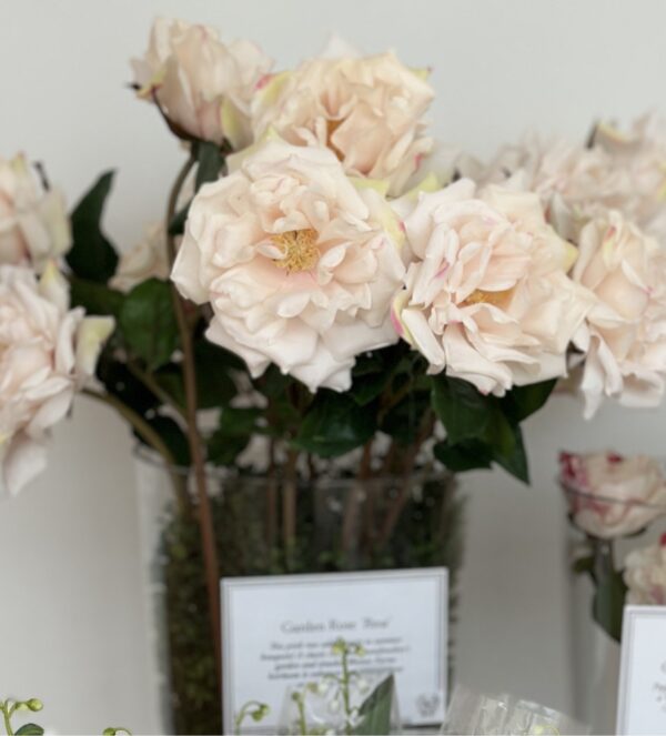 Elegant pale pink roses in a glass vase at Weston Farms, showcasing fresh floral arrangements for sp.