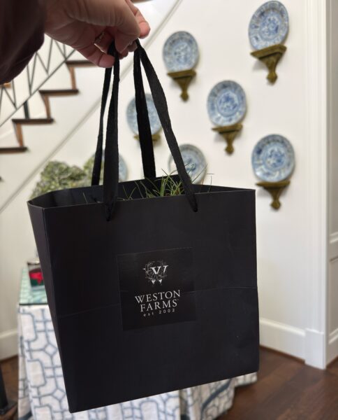 The Dove Petite Bouquet