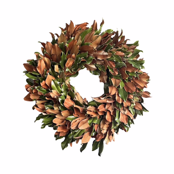 Weston Farms Magnolia Classic 26" Wreath